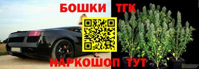 винт Кингисепп