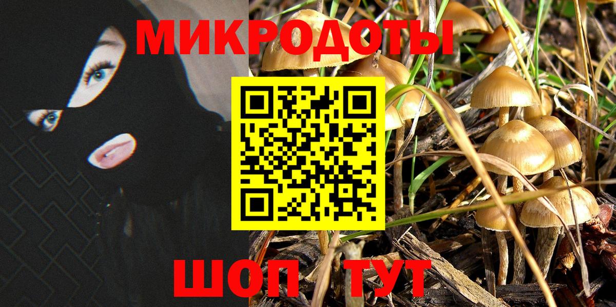 Псилоцибиновые грибы мухоморы  Вход с VPN  где купить наркотик  Кувандык  Галлюциногенные грибы мухоморы 