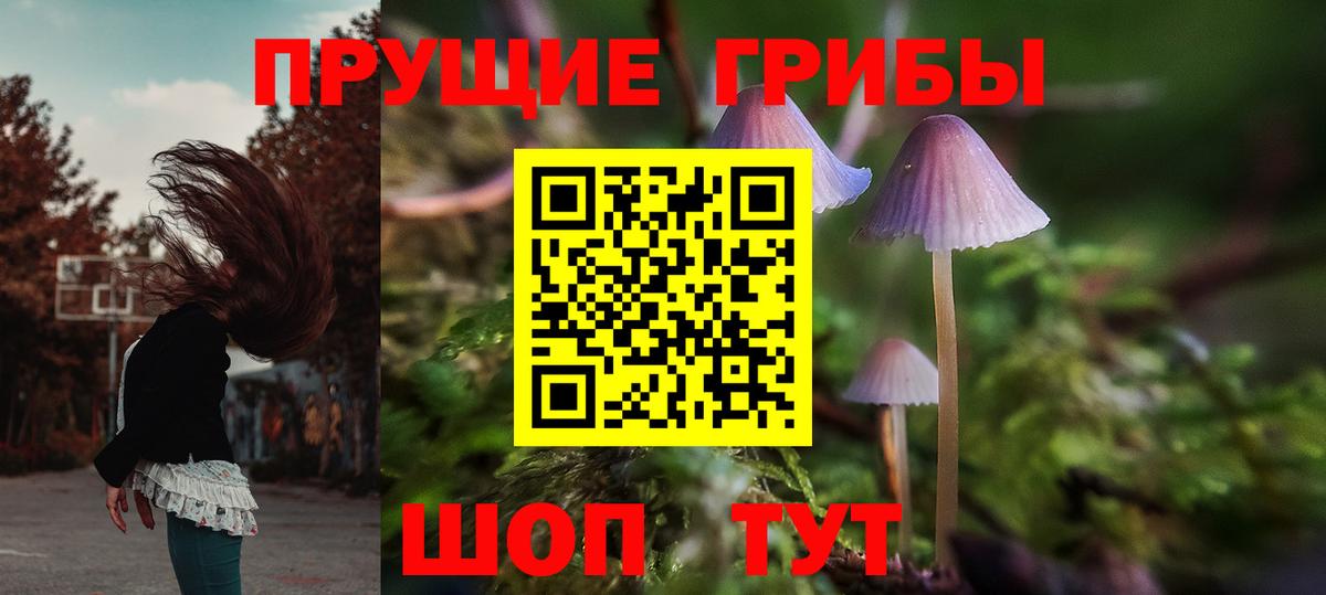 Галлюциногенные грибы MAGIC MUSHROOMS Кувандык